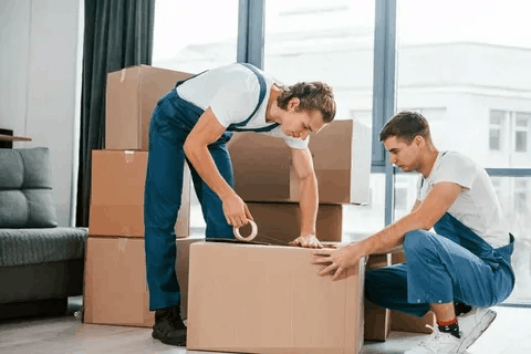 Movers in Dubai