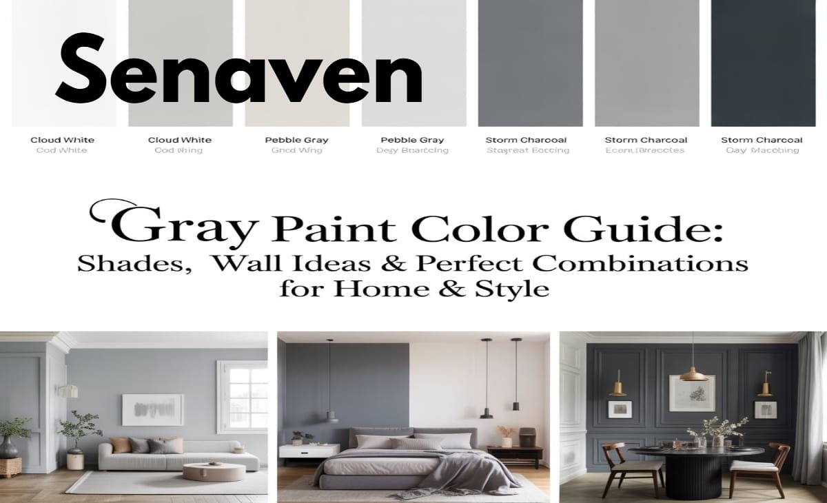 Modern living room with gray paint walls and natural lighting interior design